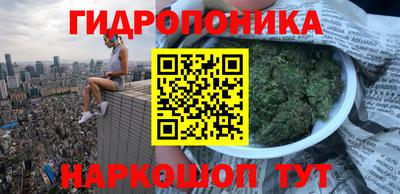 СК Донецк