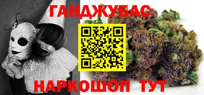 стаф Дубна