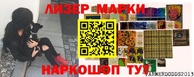 стаф Дубна