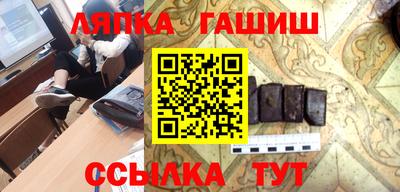 стаф Дубна