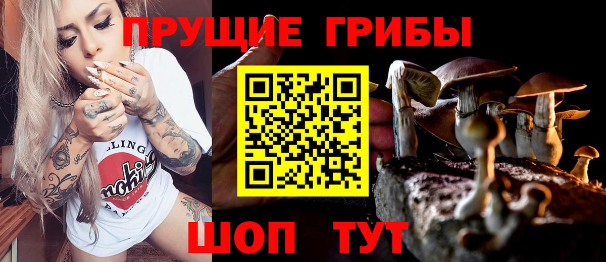 Псилоцибиновые грибы Cubensis Каспийск